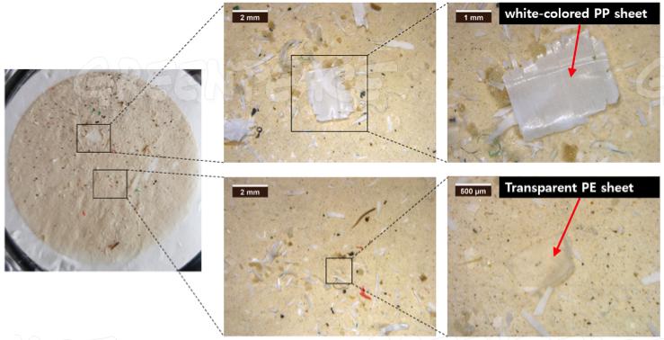 Снимки: Seung-Kyu Kim
