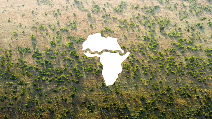 Снимки: Great Green Wall www.greatgreenwall.org