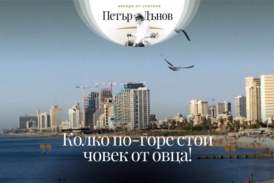 Колко по-горе стои човек от овца!