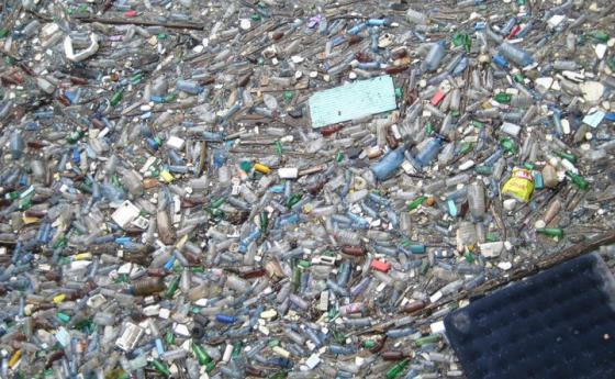 Пластмасата в океана е създала нова екосистема