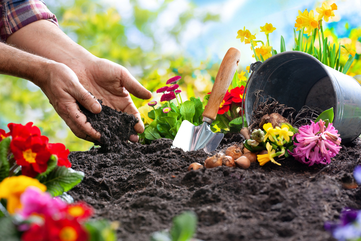 снимка: iStock