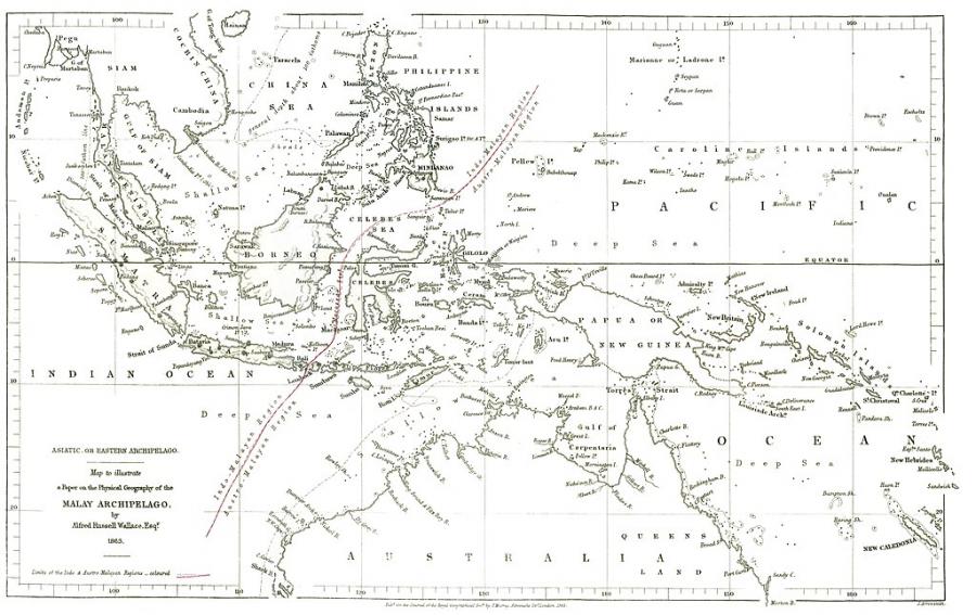 Илюстрация: Wikimedia.org