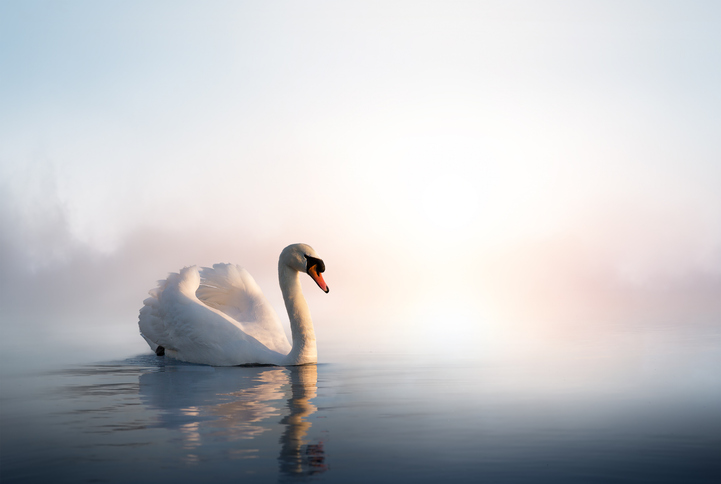 снимка: iStock