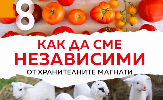 В новия брой на Списание 8!