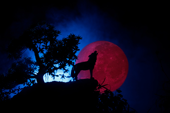 изображение: iStock