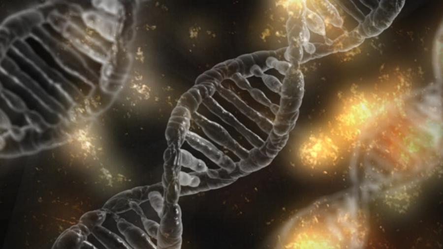 Открита е нова ДНК структура в човешките клетки