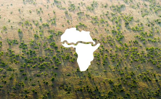 С „Великата зелена стена” Африка се бори срещу убийствения ход на пустинята