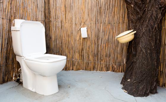 Учените измислиха спрей за вечно чиста тоалетна
