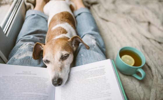 В света на книгите, когато другият е затворен