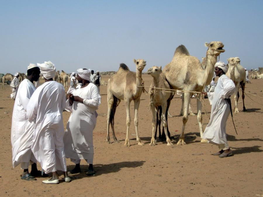 Пазар на камили в Судан, Снимка: Wikimedia.org