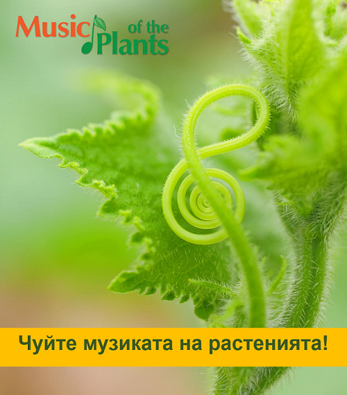 За първи път в България съвместен концерт между хора и растения!