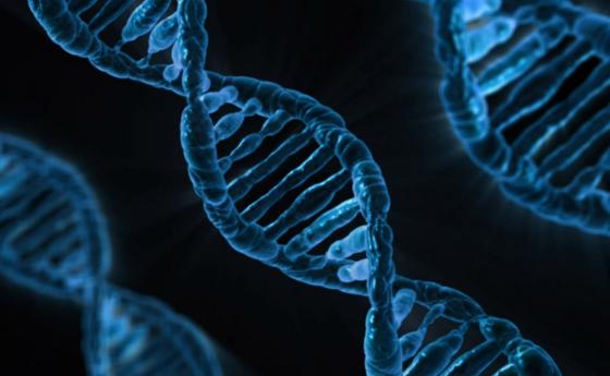 Историческо събитие: Представиха пълния човешки геном