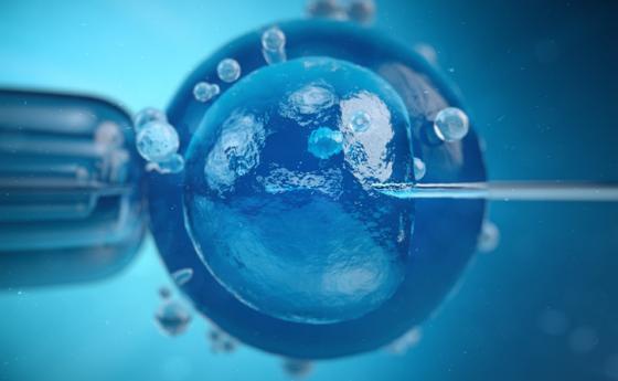 Създадоха синтетични ембриони без оплождане