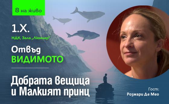 Добрата вещица и Mалкият принц