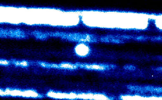 Телескопите на Роженската обсерватория заснеха новооткритата комета 3I/ATLAS25